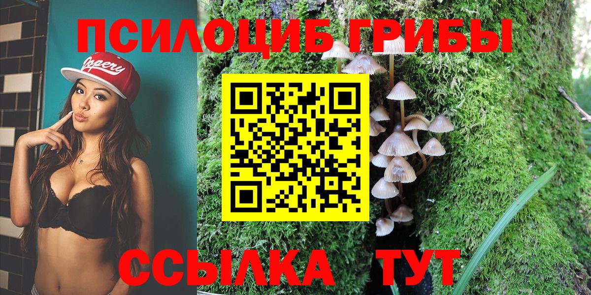 Псилоцибиновые грибы Psilocybe  Галлюциногенные грибы мухоморы  Вход с VPN  Фролово 